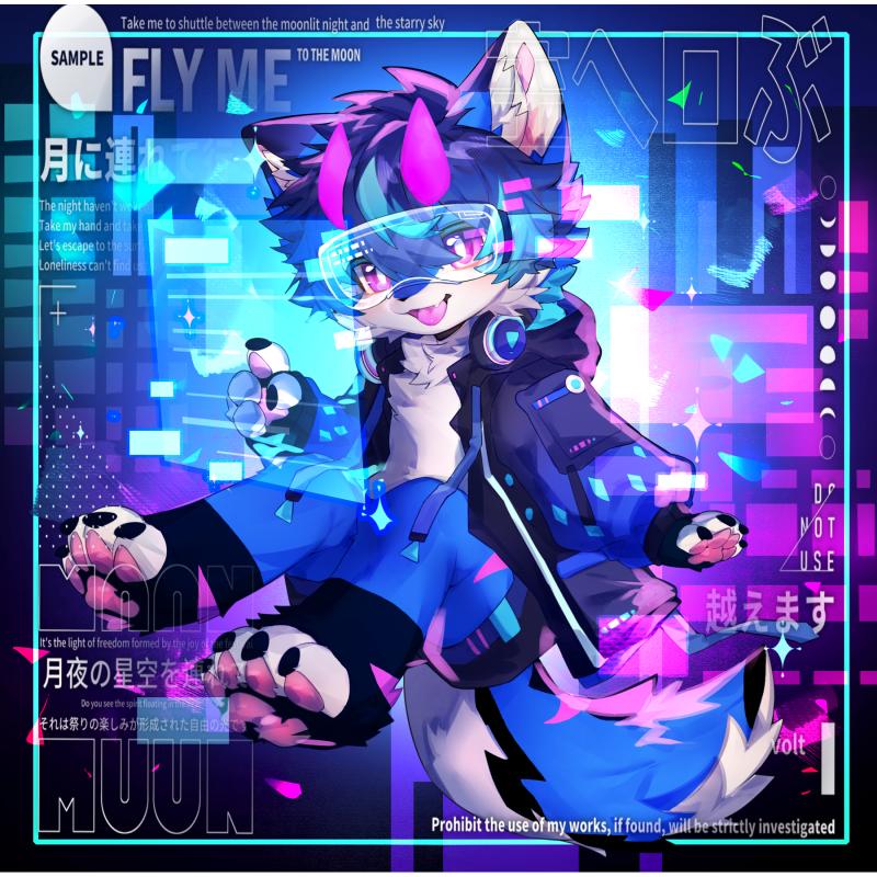 内容图片1