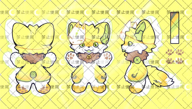 内容图片1