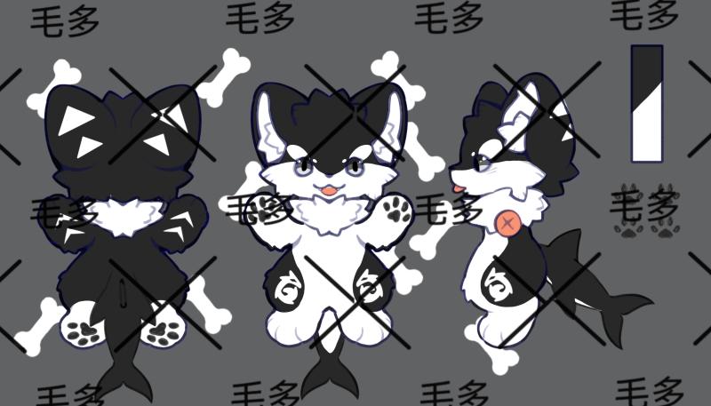 内容图片3