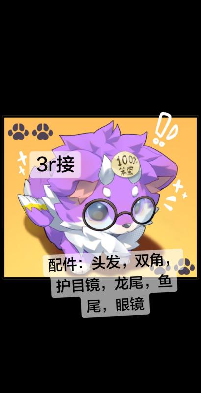 100%小笨蛋