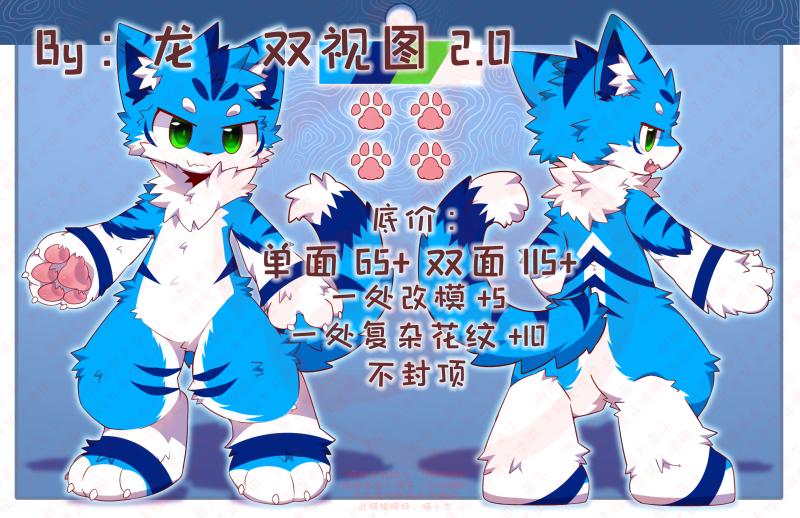 破龙牌双视图2.0