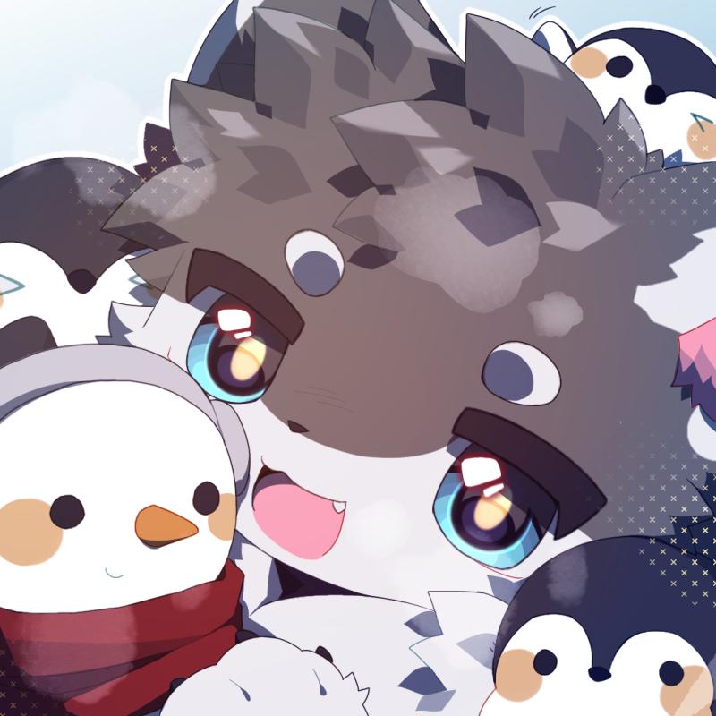 冷猫石灰牌我在北极堆雪人