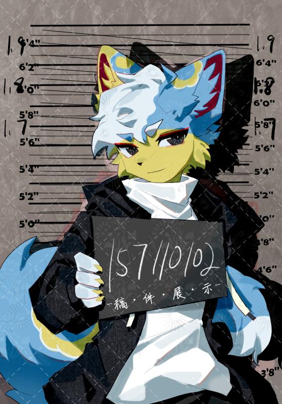 内容图片1