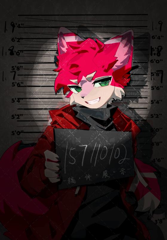 内容图片2