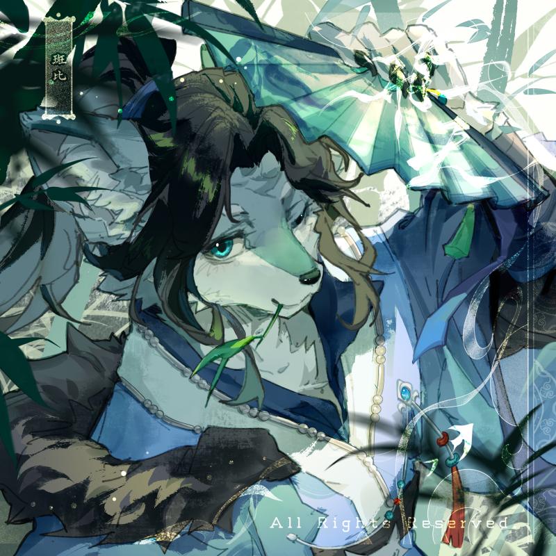Thumbnail Image